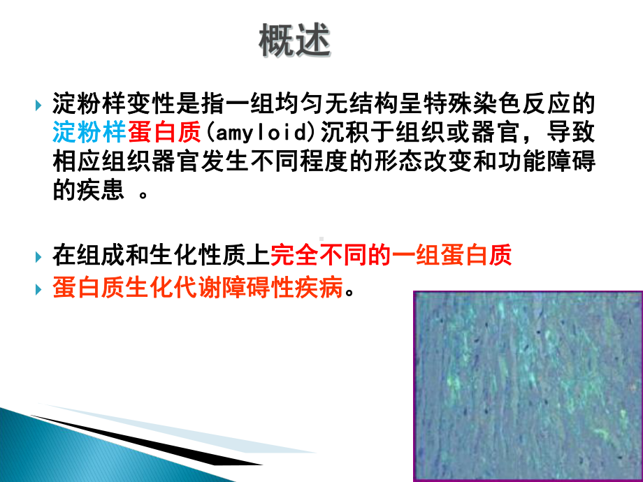 系统性淀粉样变性读书报告课件.pptx_第3页