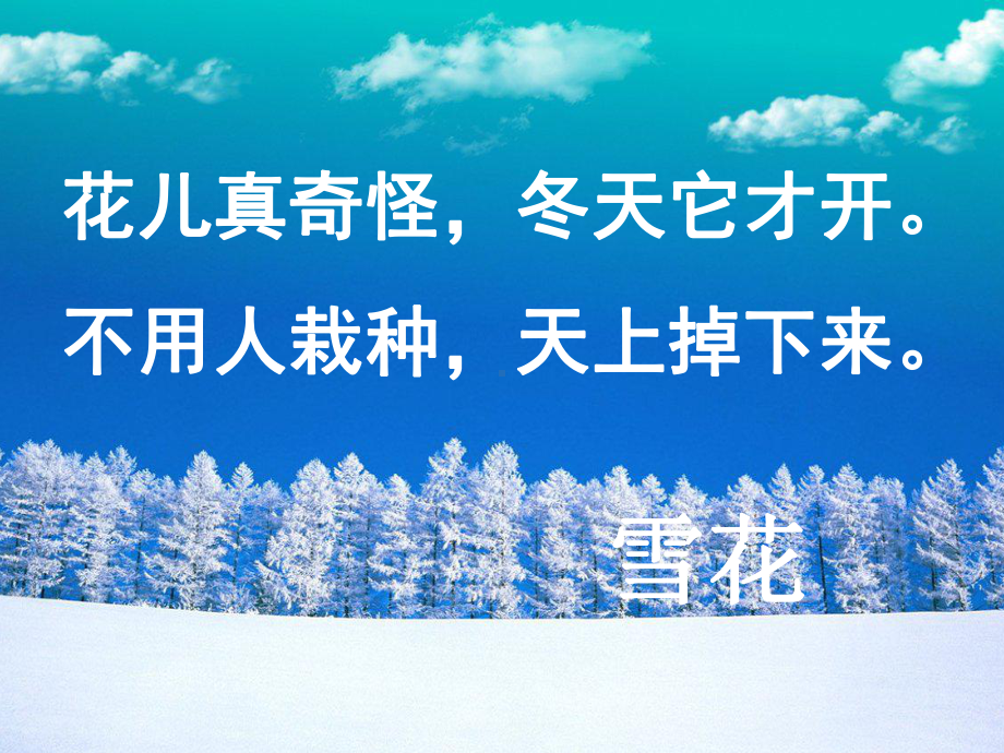 (人教部编版)小学语文《雪地里的小画家》优质教学1课件.ppt_第3页