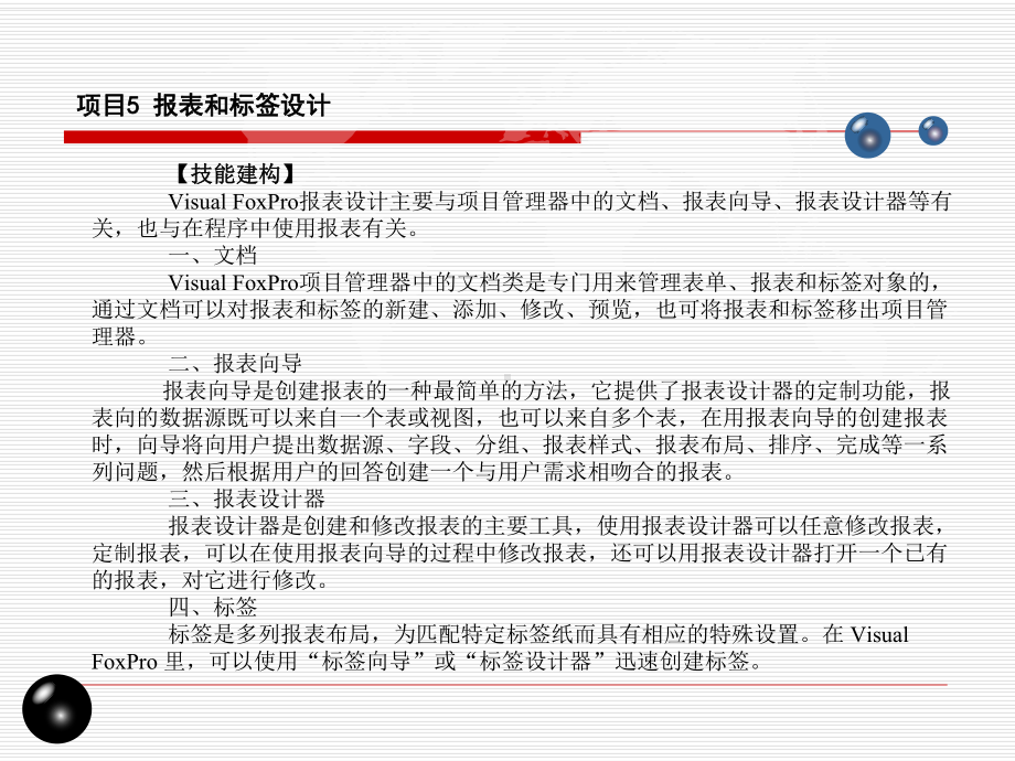 VF报表和标签设计课件.ppt_第2页