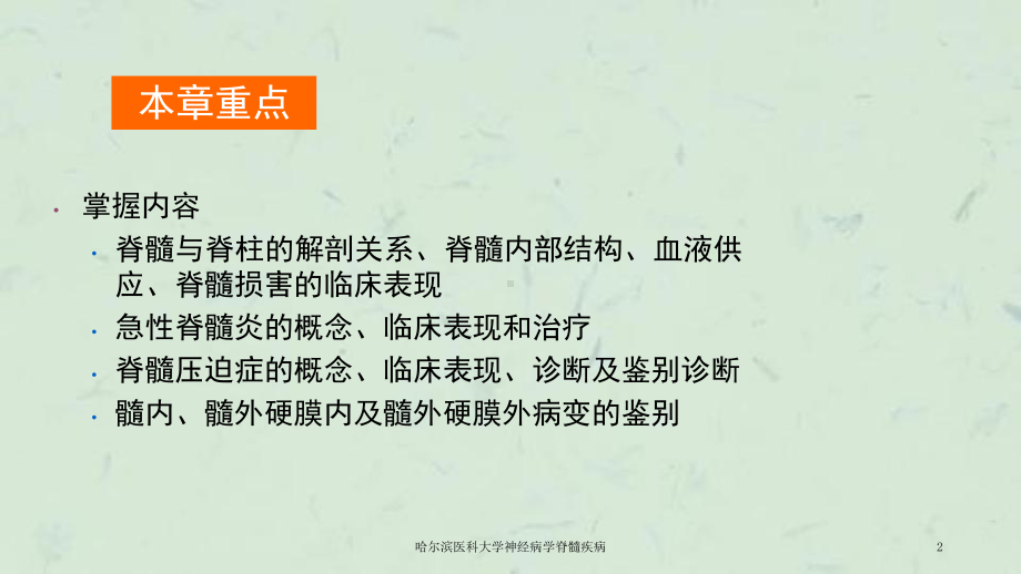 神经病学脊髓疾病课件.ppt_第2页