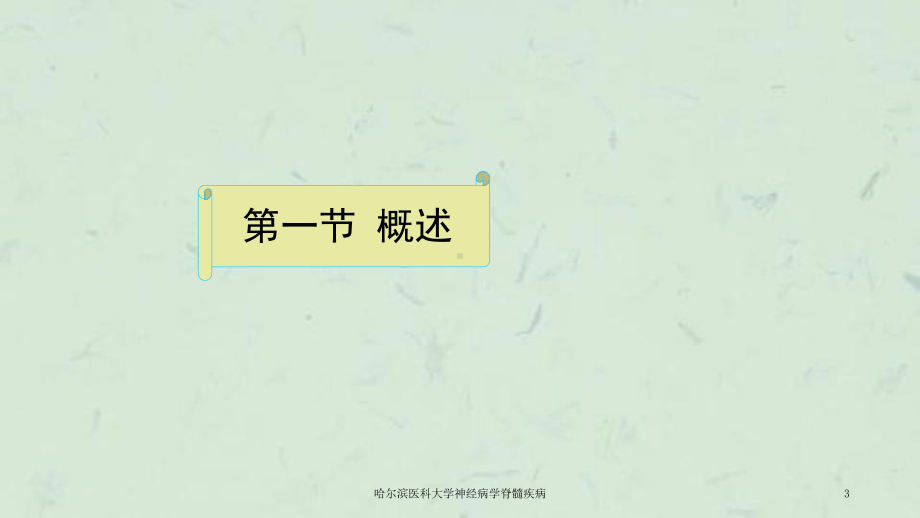 神经病学脊髓疾病课件.ppt_第3页