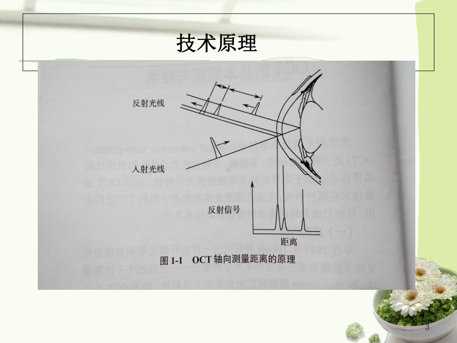 OCT基础知识课件-2.ppt_第3页