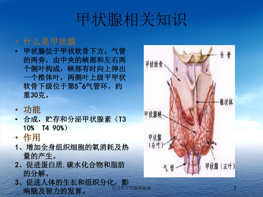 结节性甲状腺肿新版培训课件.ppt_第2页