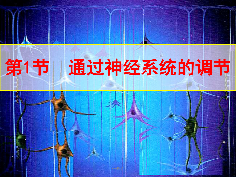 神经系统的结构和功能-课件.ppt_第1页