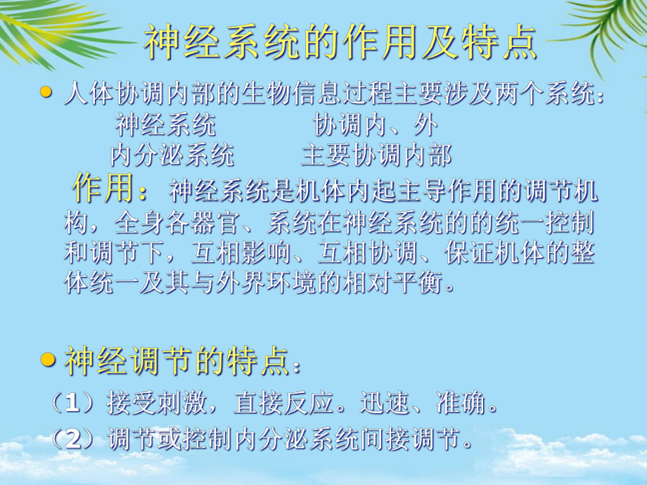 神经系统与神经调节课件-2.ppt_第2页