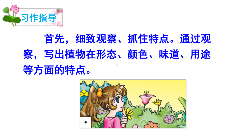 (人教部编版)小学语文《习作：我的植物朋友》课件分析1.ppt_第3页