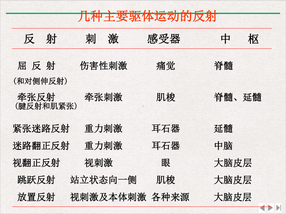 神经系统运动调控课件.pptx_第2页