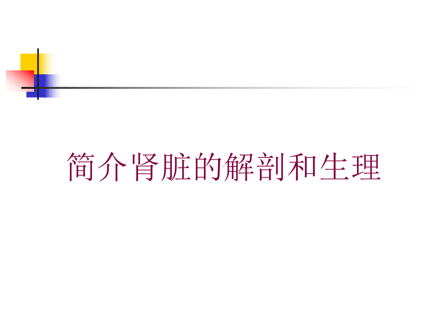 简介肾脏的解剖和生理培训课件.ppt_第1页