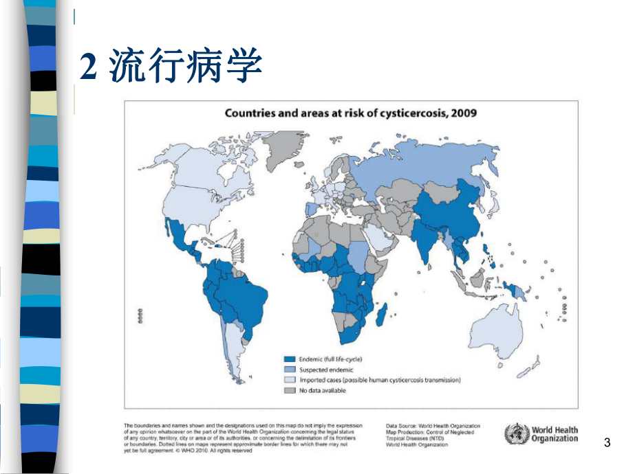 神经系统囊虫病的诊断和治疗参考课件.ppt_第3页