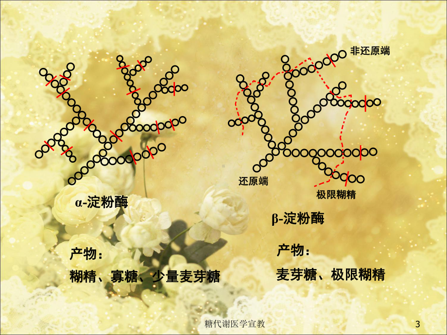 糖代谢医学宣教培训课件.ppt_第3页