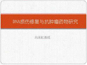 dna损伤修复与抗肿瘤药物研究课件.ppt