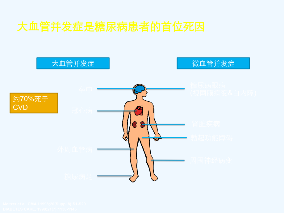 糖尿病与动脉粥样硬化课件.pptx_第2页