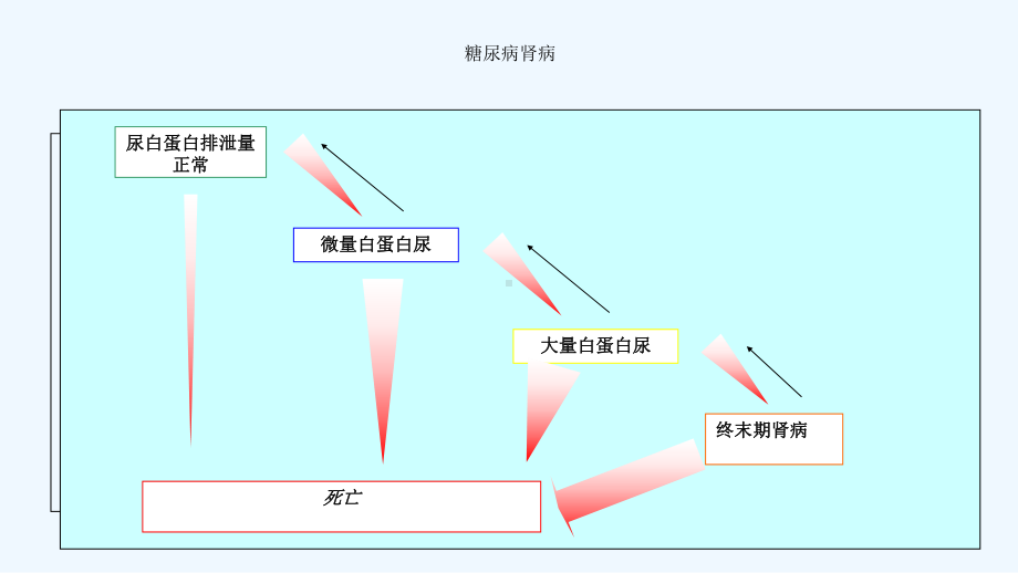 糖尿病肾病查房课件2.ppt_第3页