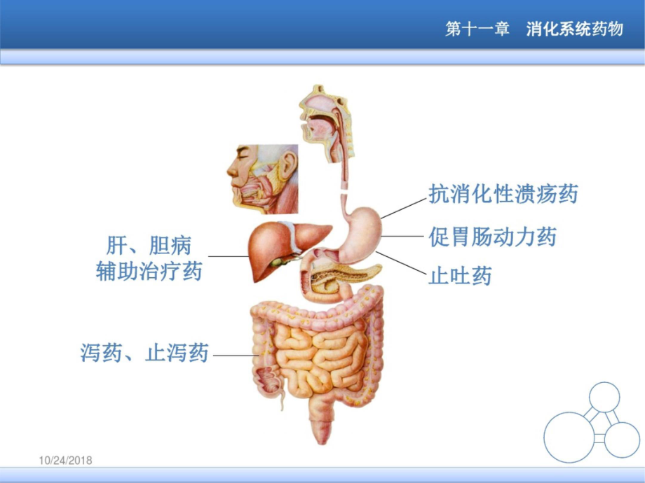 十一章消化系统药讲述课件.ppt_第2页