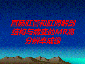 直肠肛管和肛周解剖结构与病变的MR高分辨率成像培训课件.ppt