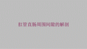 肛管直肠周围间隙的解剖培训课件.ppt