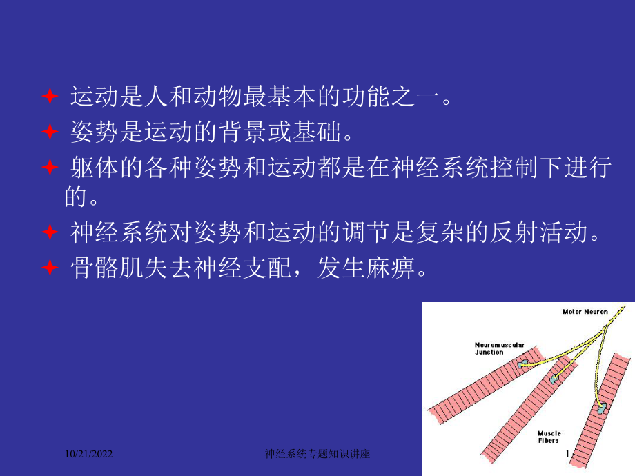 神经系统专题知识讲座培训课件.ppt_第1页