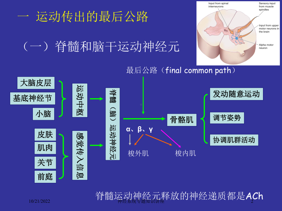 神经系统专题知识讲座培训课件.ppt_第2页