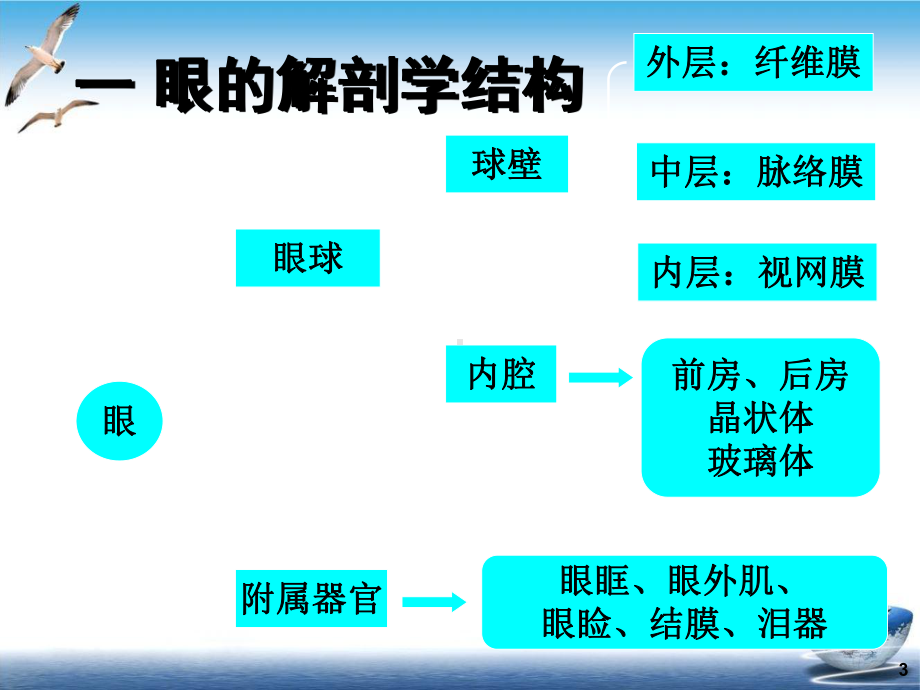 缓解视疲劳的功能性食品1课件.ppt_第3页