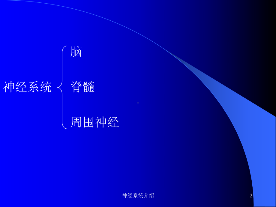 神经系统介绍课件.ppt_第2页