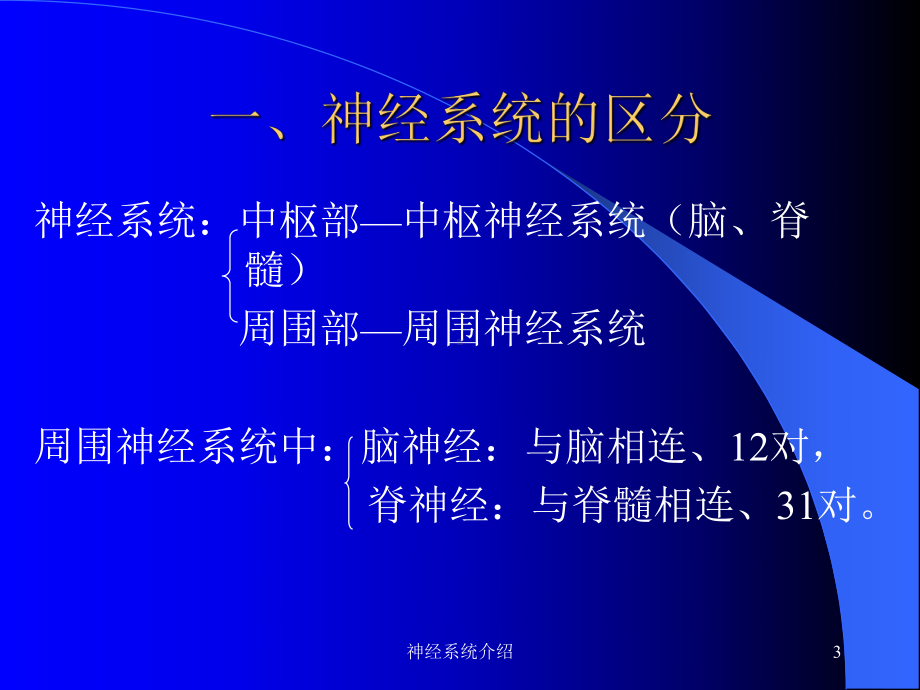 神经系统介绍课件.ppt_第3页