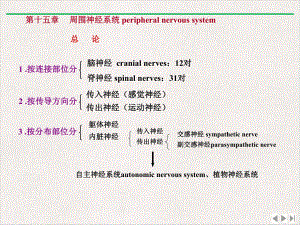 神经系统总论及脊神经版课件.pptx