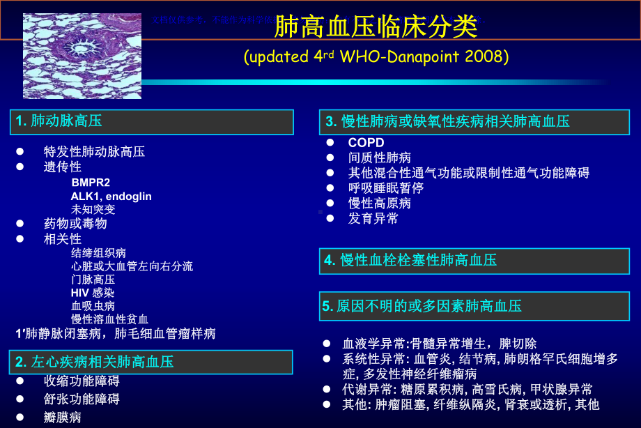 肺动脉高压流行病学和我国PAH分析课件.ppt_第2页