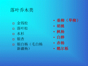 乔木类课件-落叶乔木.ppt