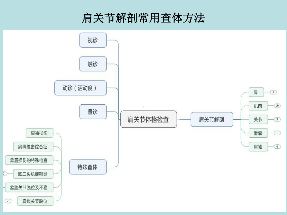 肩关节解剖常用查体方法-课件.ppt_第2页