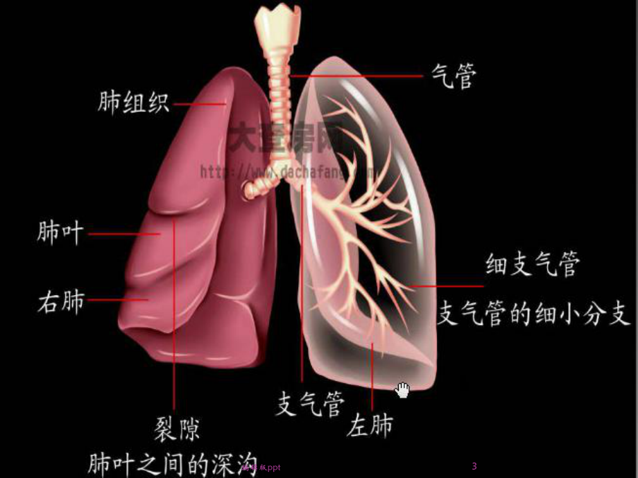 肺癌术后的护理查房医学课件.ppt_第3页