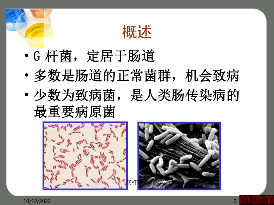 肠杆菌科课件.ppt_第2页