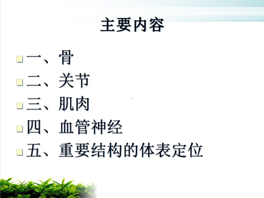 肩关节应用解剖培训课件.ppt_第2页