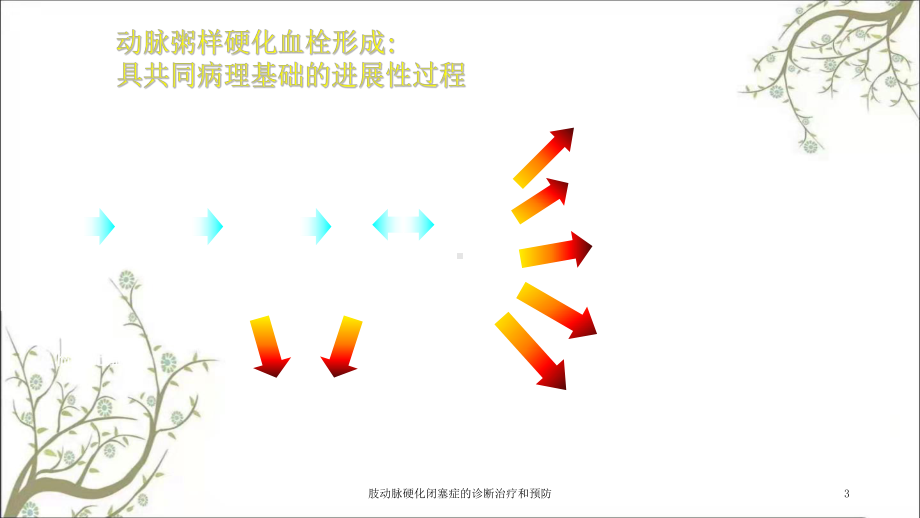 肢动脉硬化闭塞症的诊断治疗和预防课件.ppt_第3页