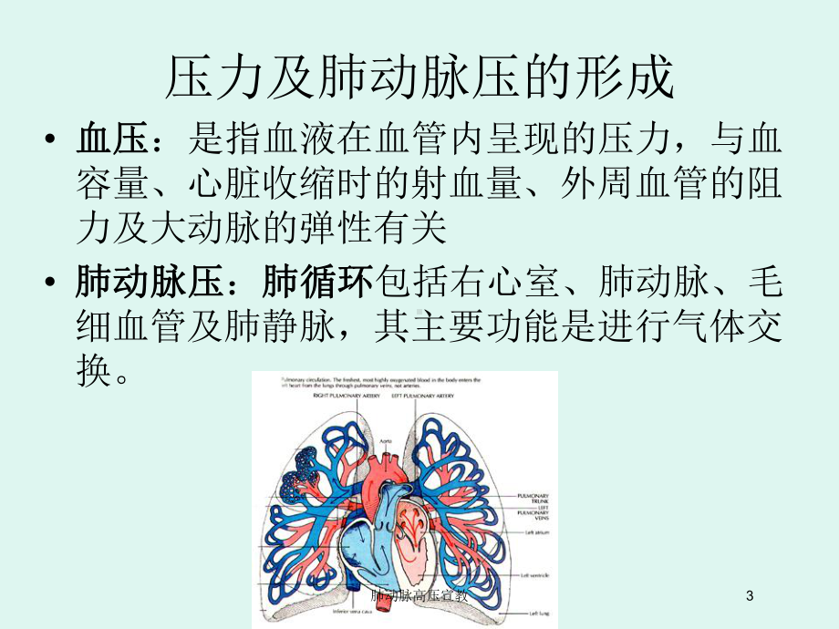 肺动脉高压宣教培训课件.ppt_第3页