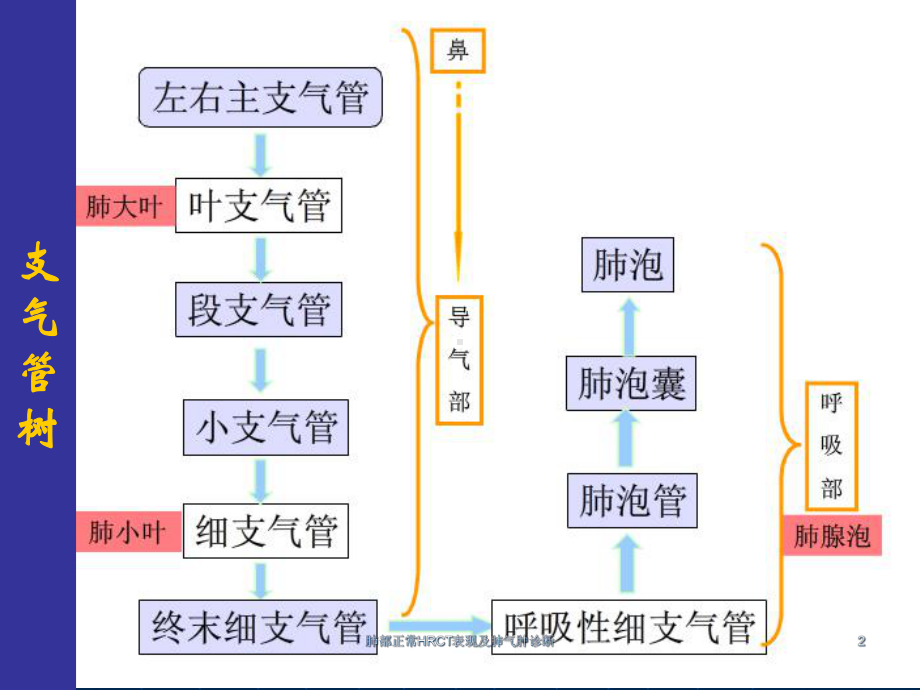 肺部正常HRCT表现及肺气肿诊断课件.ppt_第2页