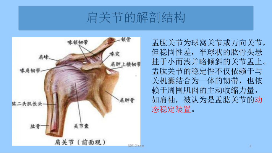 肩关节前脱位介绍完整版本课件.ppt_第2页