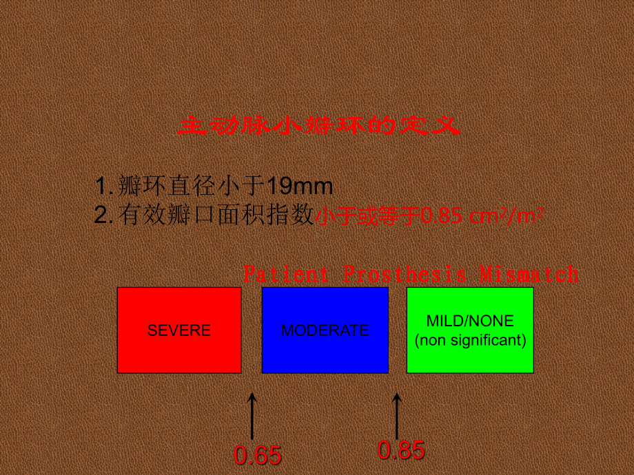 主动脉小瓣环的瓣膜替换术课件.pptx_第2页