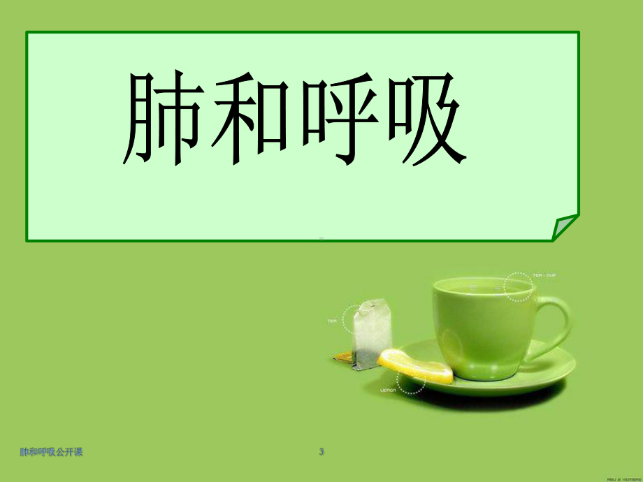 肺和呼吸公开课培训课件.ppt_第3页