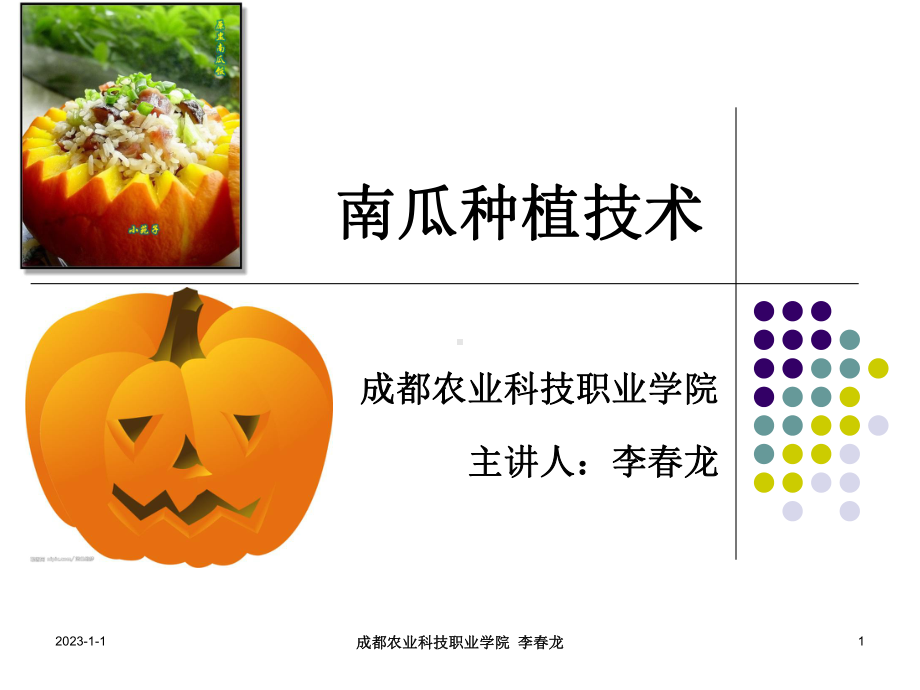 《南瓜种植》课件.ppt_第1页