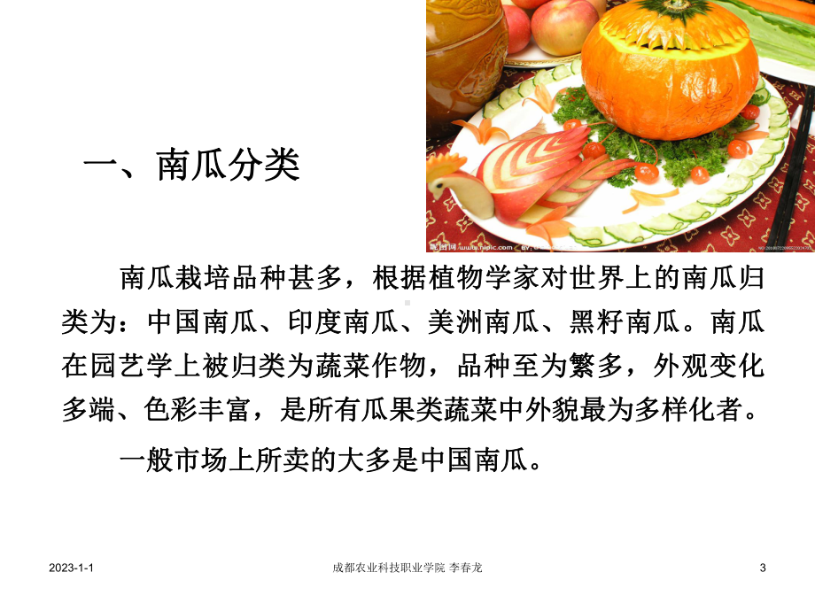 《南瓜种植》课件.ppt_第3页