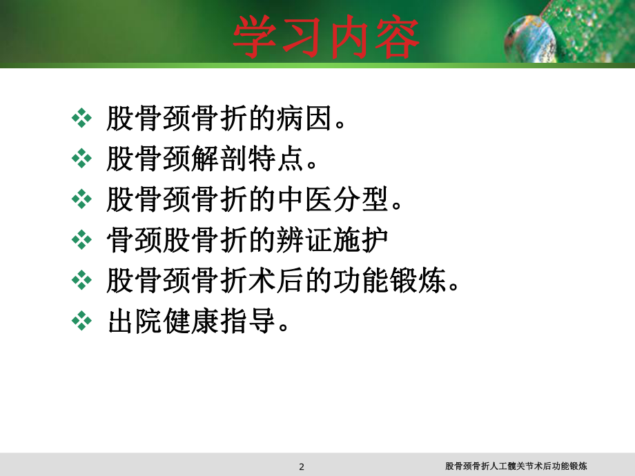 股骨颈骨折人工髋关节术后功能锻炼课件.ppt_第2页