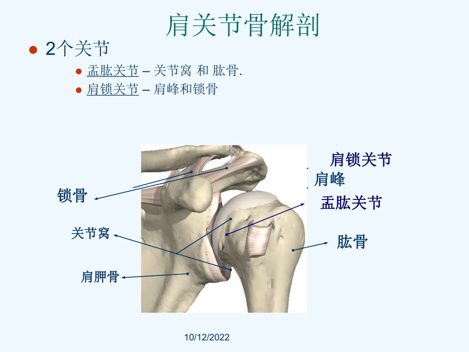 肩关节解剖与疾病诊断课件.ppt_第3页