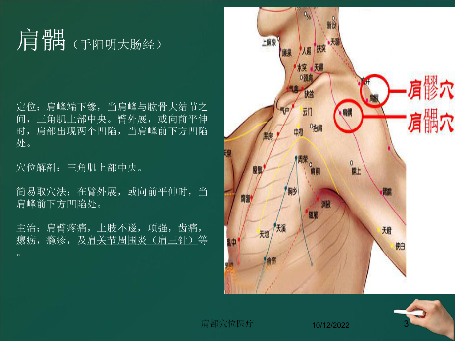 肩部穴位医疗培训课件.ppt_第3页