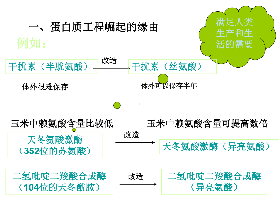 人教版高中生物选修3专题1第节蛋白质工程的崛起(共16张)课件.ppt_第2页