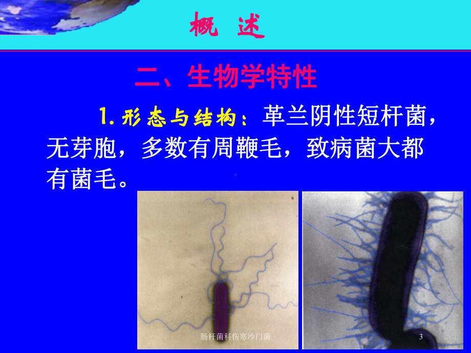 肠杆菌科伤寒沙门菌培训课件.ppt_第3页