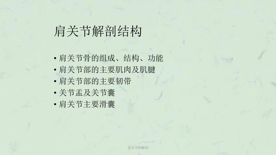 肩关节的解剖课件.ppt_第3页