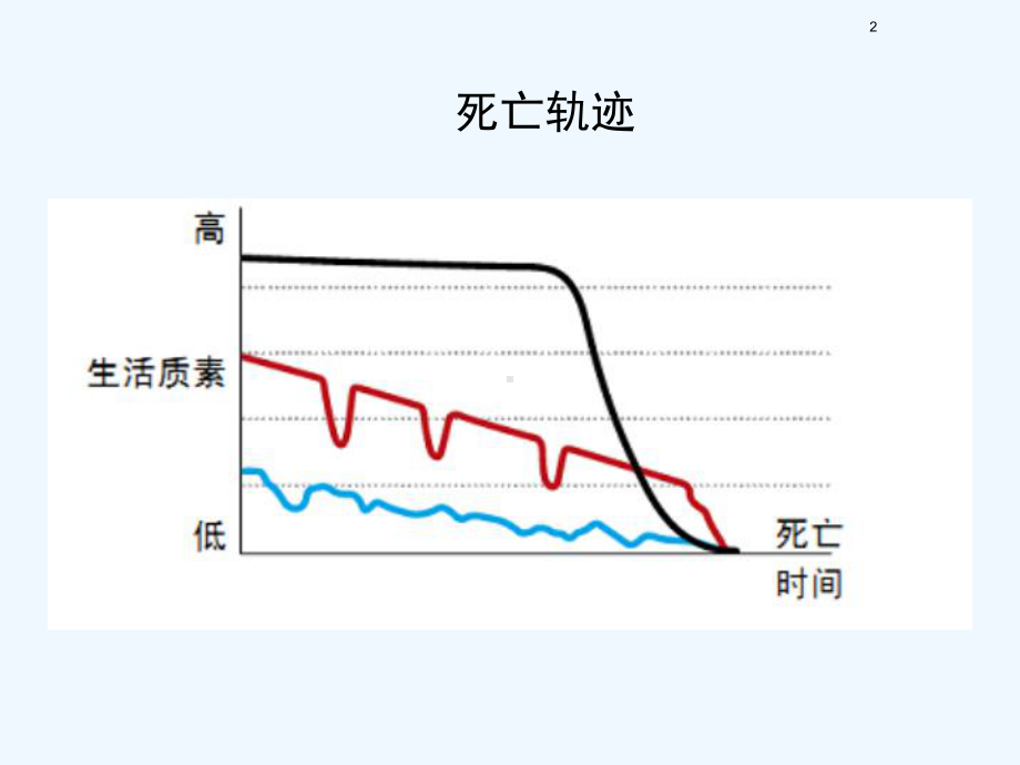 肺癌的姑息治疗课件.ppt_第2页