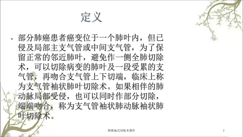 肺癌袖式切除术课件.ppt_第2页