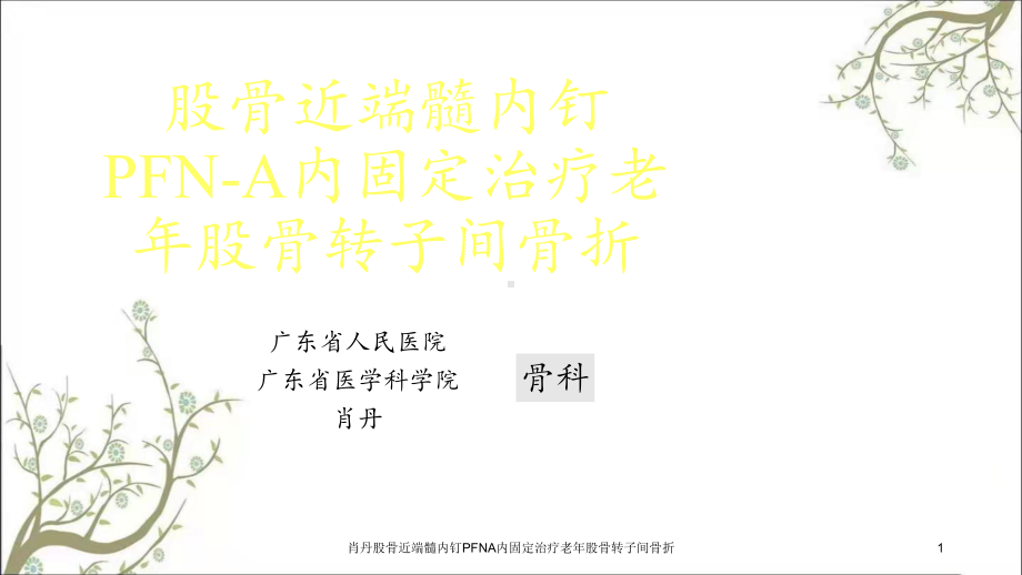 股骨近端髓内钉PFNA内固定治疗老年股骨转子间骨折课件.ppt_第1页