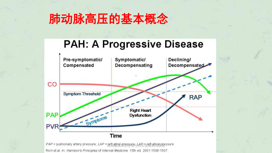 肺动脉高压的分类与诊治进展科内讲座课件.ppt_第3页